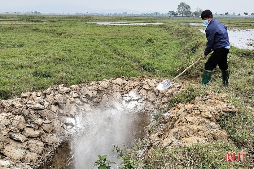 Dịch tả lợn châu Phi diễn biến phức tạp, nhiều hộ dân vẫn tự ý mua thuốc điều trị