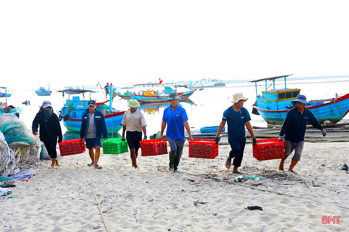 Ngư dân làng biển phía Nam Hà Tĩnh trúng đậm cá cơm