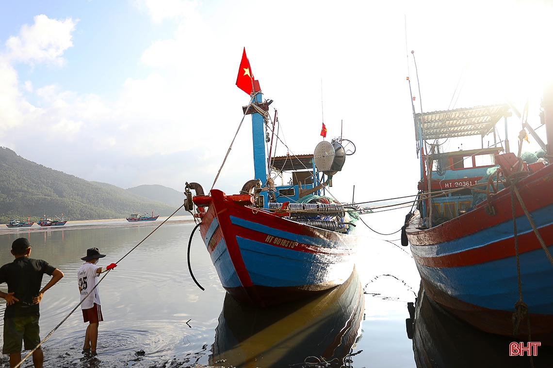 Ngư dân làng biển phía Nam Hà Tĩnh trúng đậm cá cơm