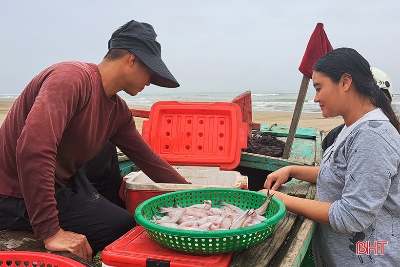 Cá cháo Nghi Xuân tươi ngon, được giá