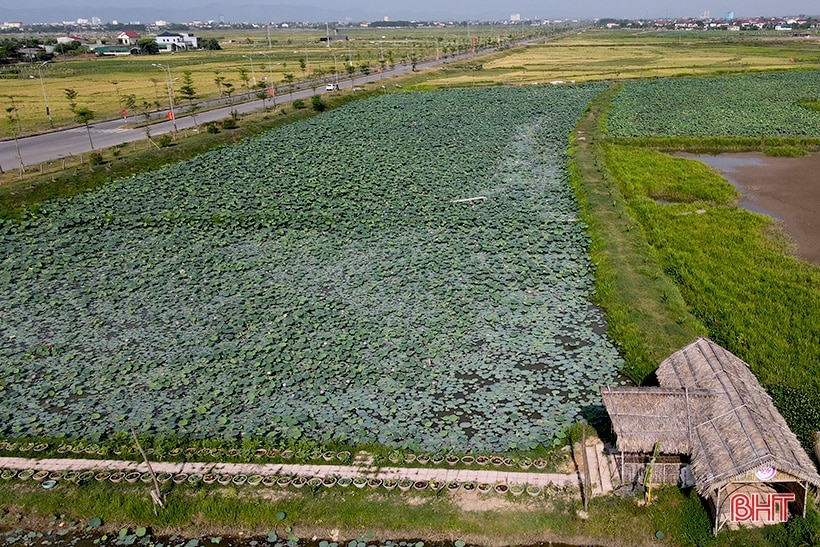 Nông nghiệp hàng hóa Hà Tĩnh - hành trình và đích đến