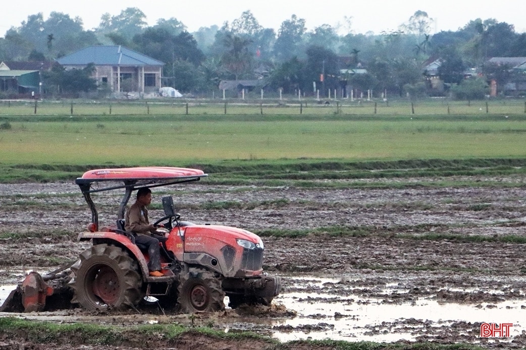 Nông nghiệp hàng hóa Hà Tĩnh - hành trình và đích đến