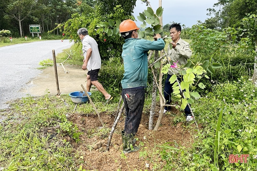 Chi bộ 4 tốt ở Vũ Quang