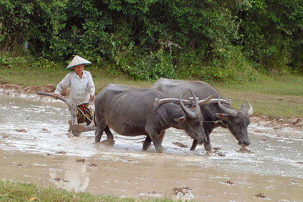 Mùa đông tháng giá