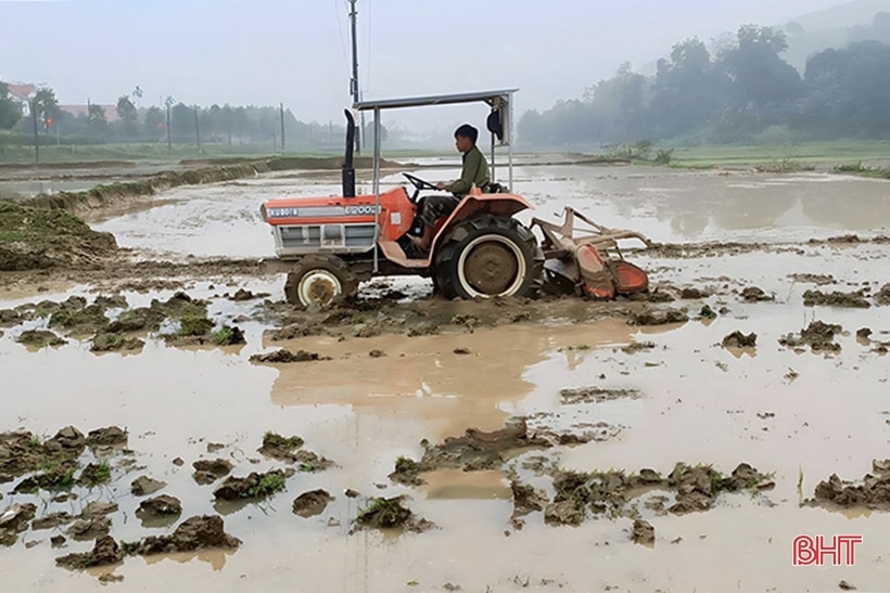 Người dân Vũ Quang phấn khởi ra đồng sản xuất lúa xuân