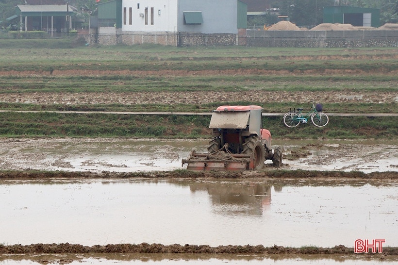 Nông dân Hà Tĩnh hối hả vào vụ gieo cấy lúa xuân