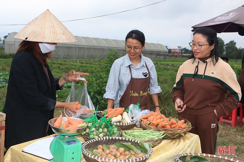 Sôi nổi Ngày hội “Tôi yêu Tổ quốc tôi” tại Thạch Hà