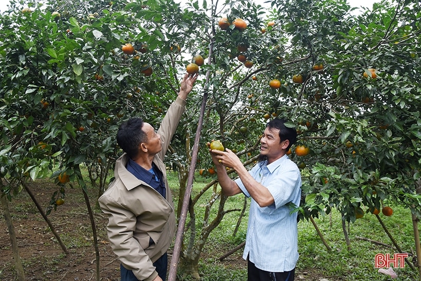 Những vùng quê bình yên nơi biên cương Hà Tĩnh