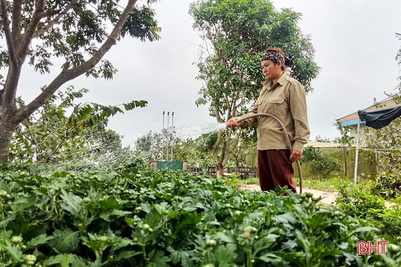 Thêm sắc thắm ngày xuân...