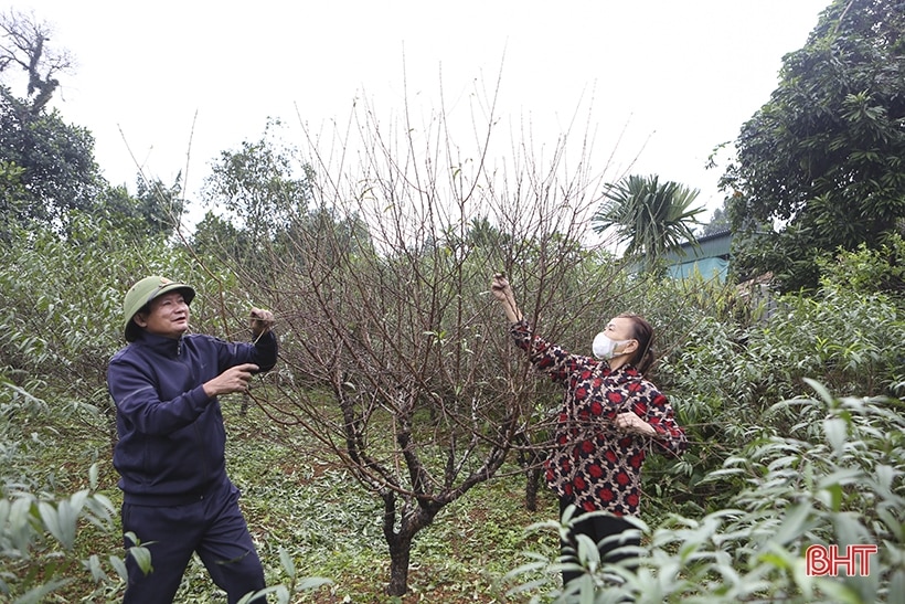 Thêm sắc thắm ngày xuân...