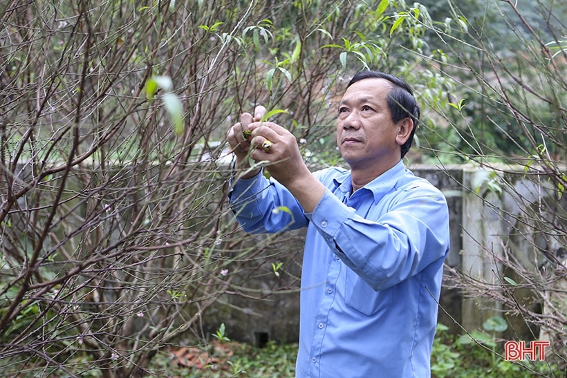 Thêm sắc thắm ngày xuân...