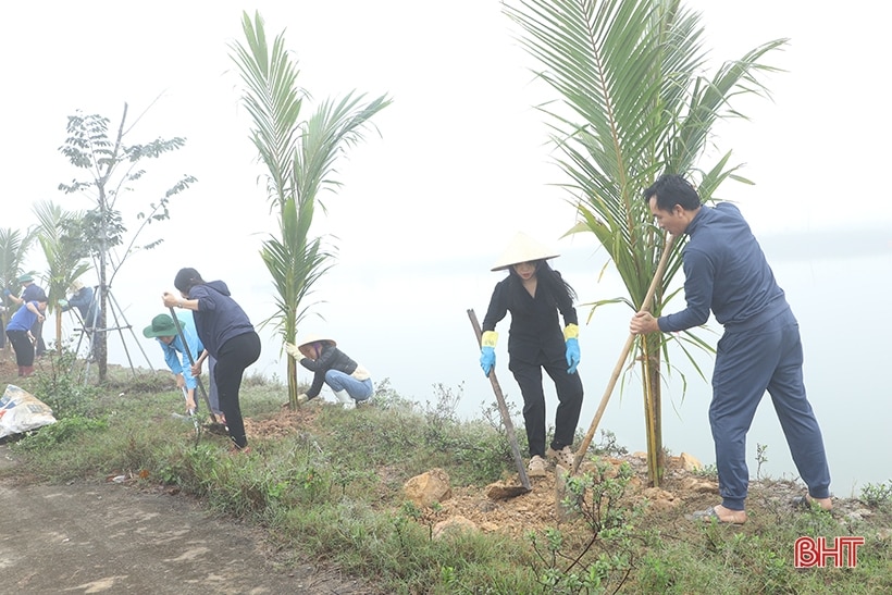 TP Hà Tĩnh trồng gần 5.000 cây dừa ở vùng sinh thái Đồng Ghè