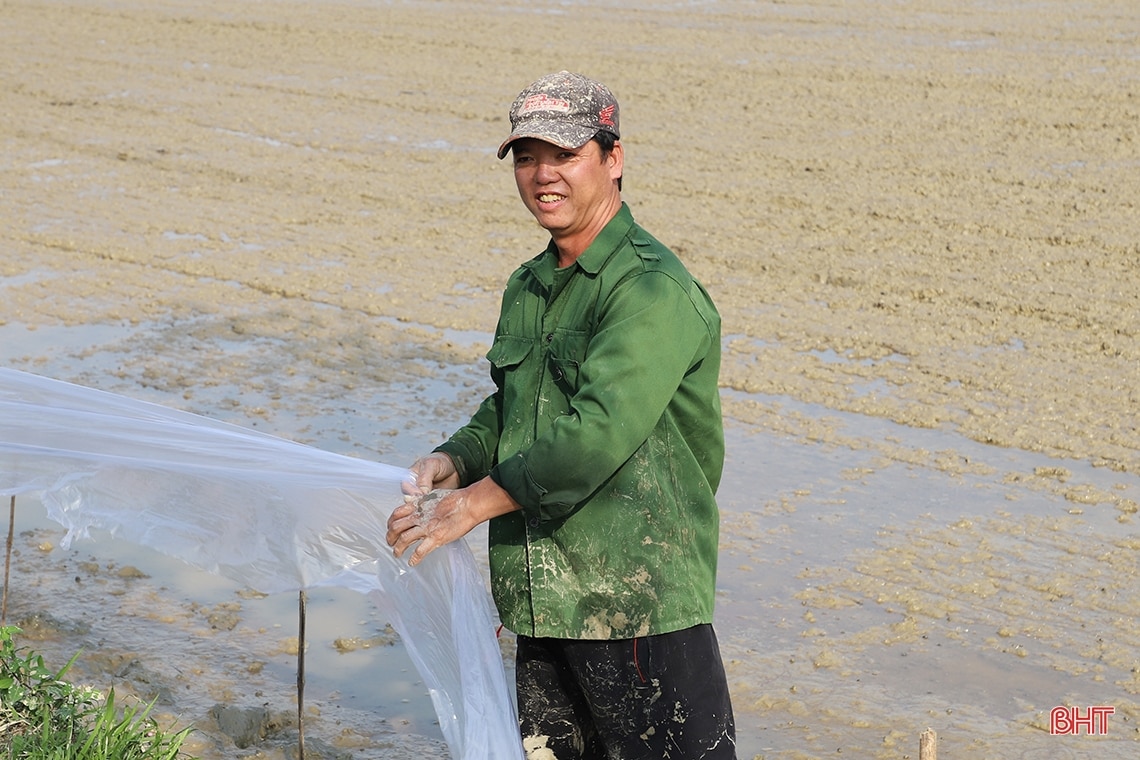 Nông dân Hà Tĩnh “đua” tiến độ gieo cấy lúa xuân