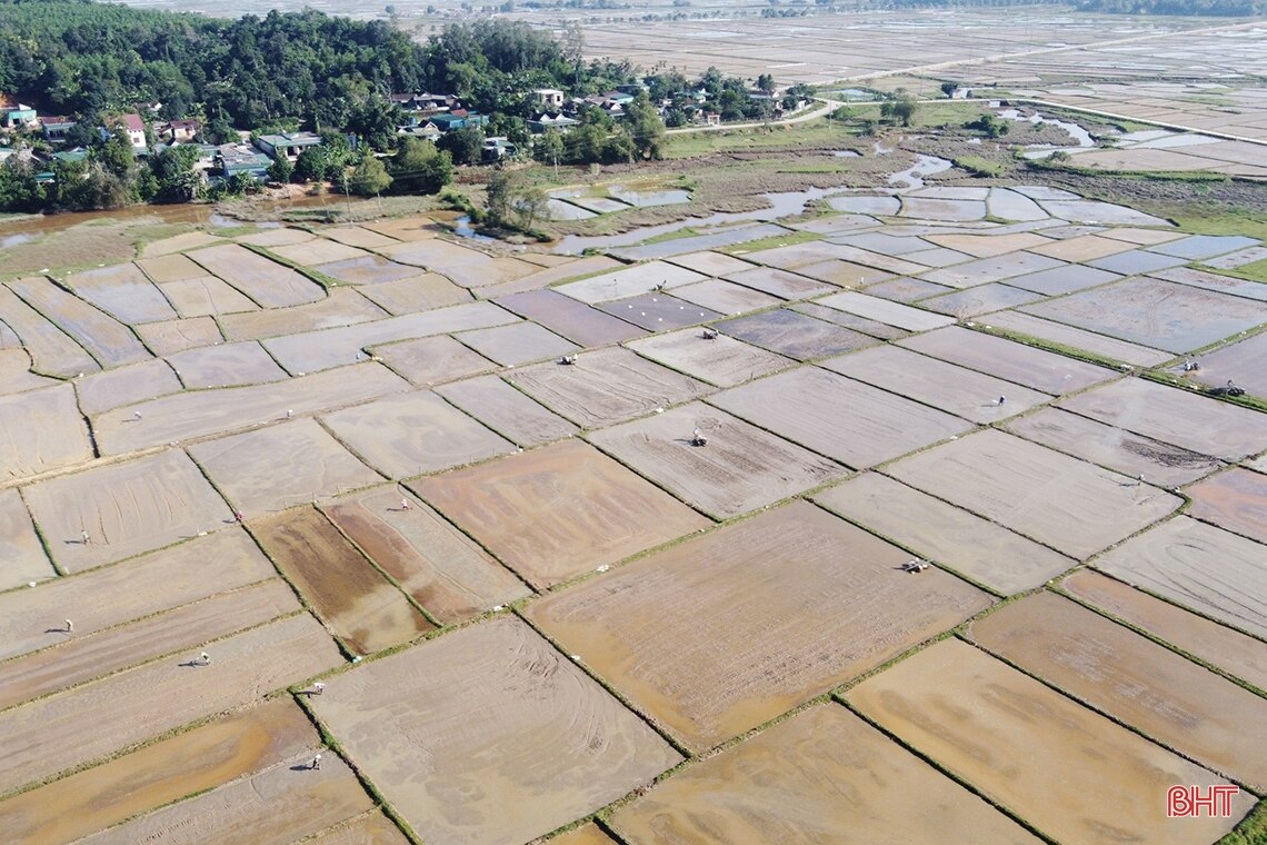 Nông dân Hà Tĩnh “đua” tiến độ gieo cấy lúa xuân