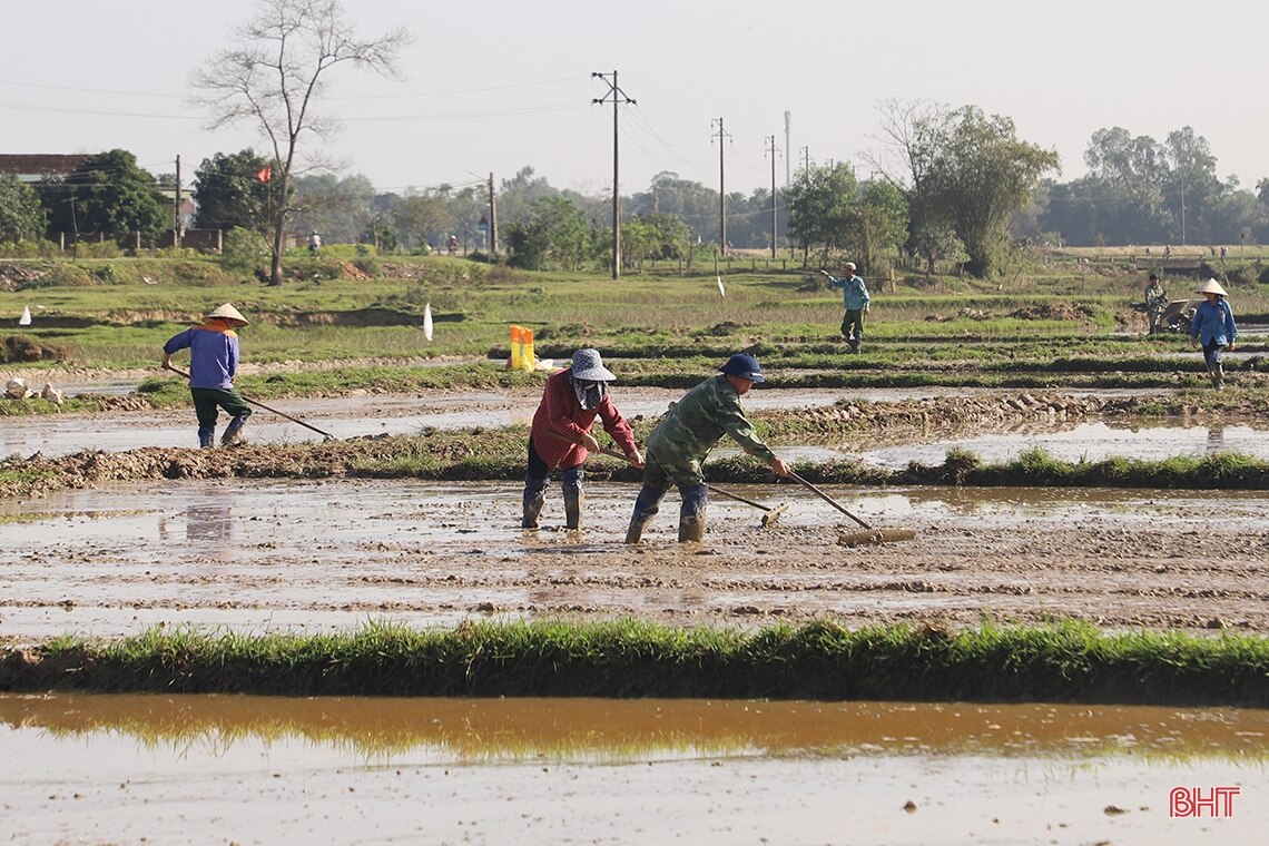 Nông dân Hà Tĩnh “đua” tiến độ gieo cấy lúa xuân