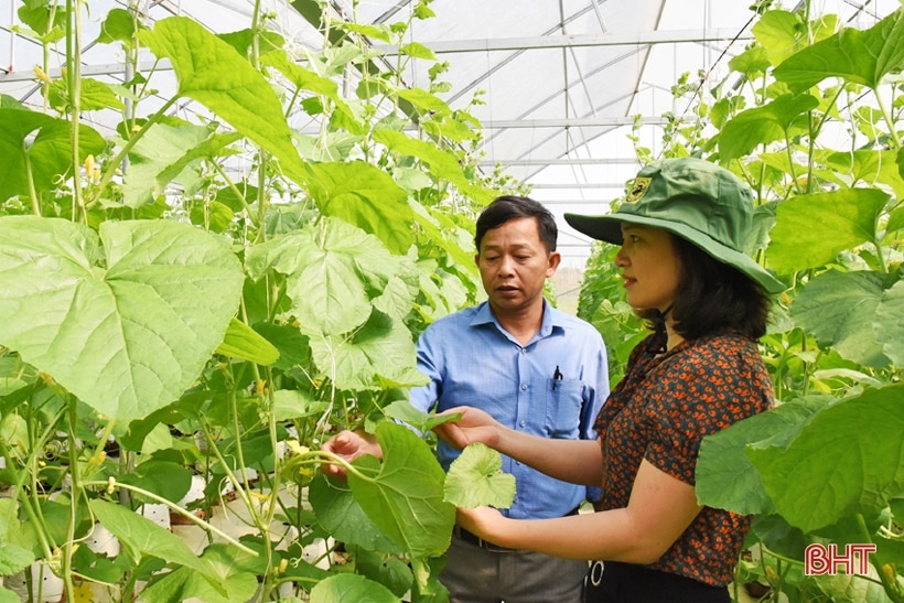 Thạch Châu về đích nông thôn mới kiểu mẫu nhờ vận dụng tốt các nguồn lực