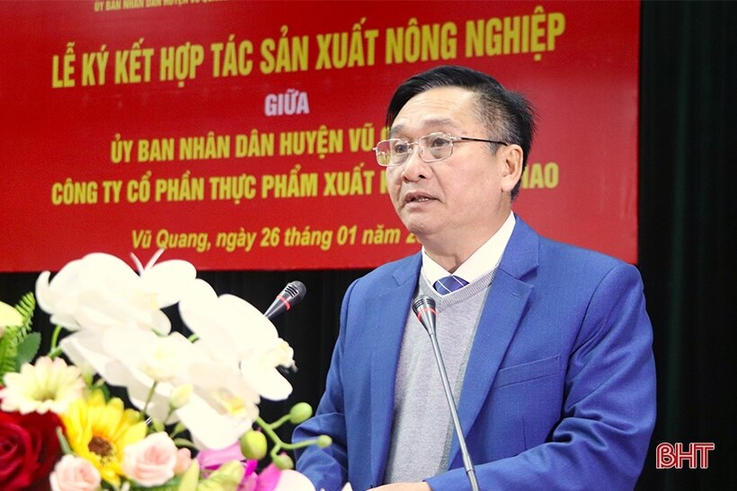 Hợp tác trồng dứa Cayen, ngô ngọt trên địa bàn Vũ Quang