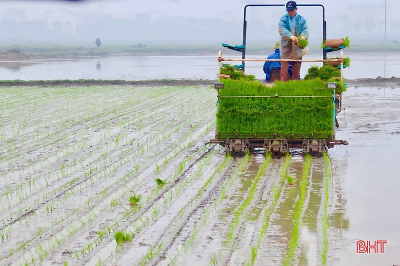 Tập đoàn Quế Lâm - Vì nền nông nghiệp tuần hoàn, phát triển