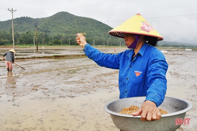 Chuyển đổi ruộng đất, Lộc Hà giảm 9.192 thửa