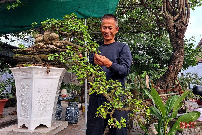 Khám phá vườn bonsai tiền tỷ ở Nghi Xuân