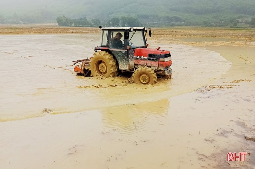 Người dân Vũ Quang phấn khởi ra đồng sản xuất lúa xuân