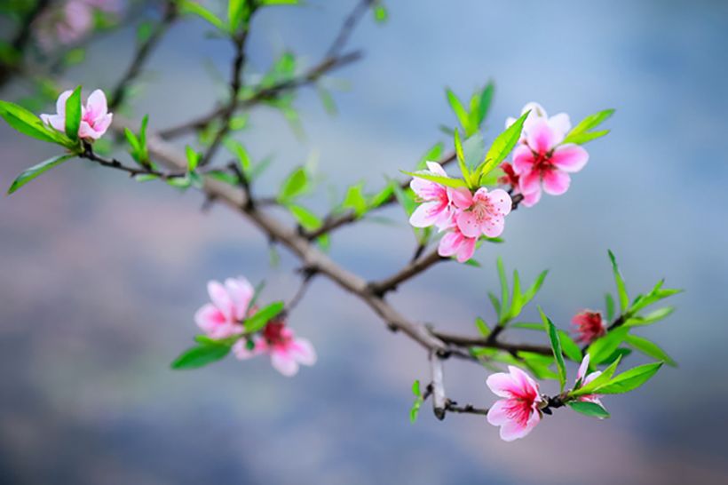 “Những con người làm sông núi sáng tươi...”