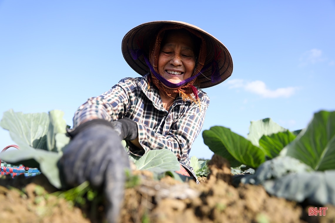 Truyện ngắn: Cánh đồng mùa xuân