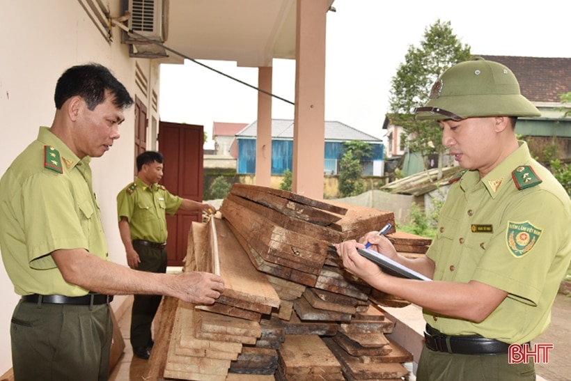 Cho những cánh rừng Hà Tĩnh thêm xanh