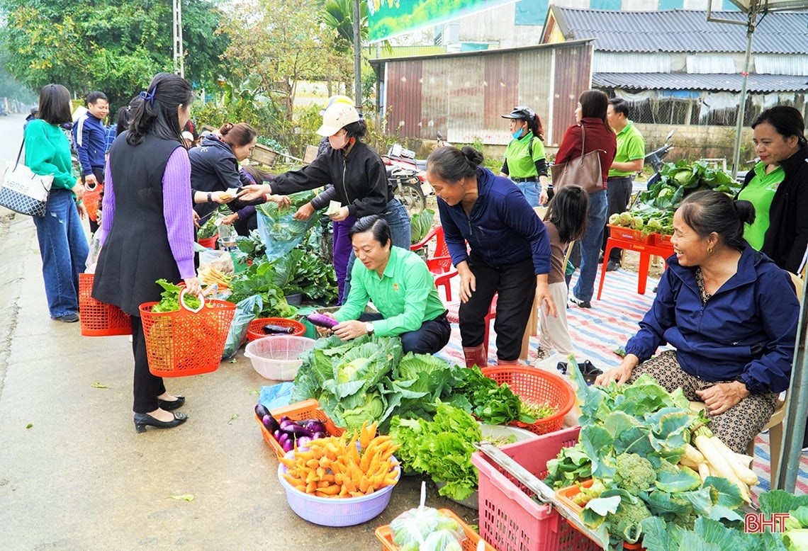 Trồng rau bán tết, nông dân phố núi Hương Khê thu lãi khá