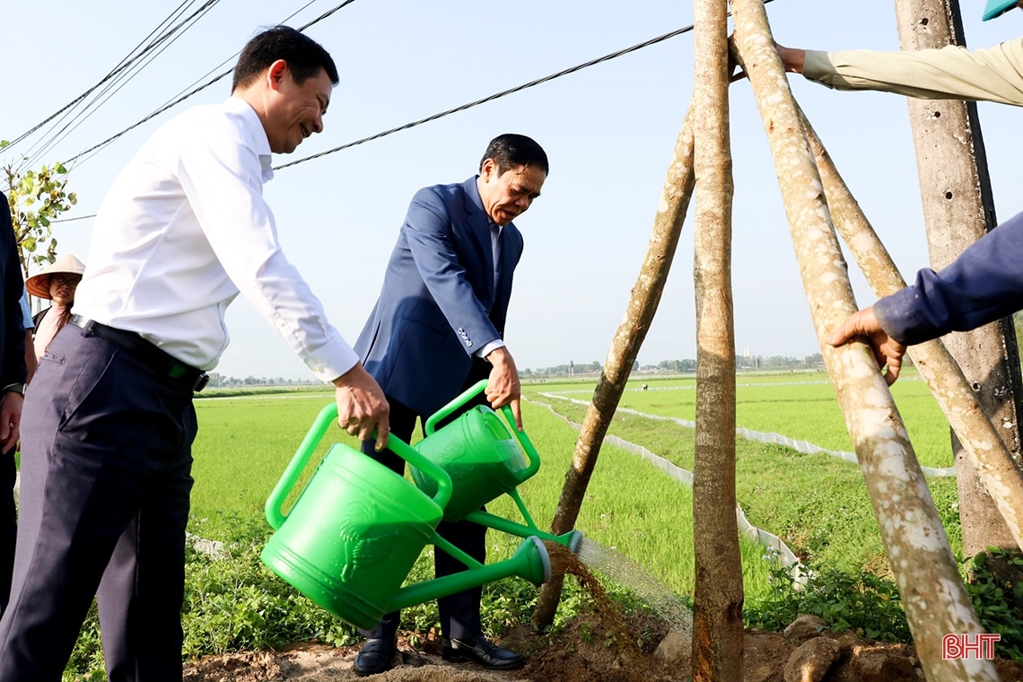 Lãnh đạo tỉnh Hà Tĩnh tham gia Tết trồng cây tại các địa phương