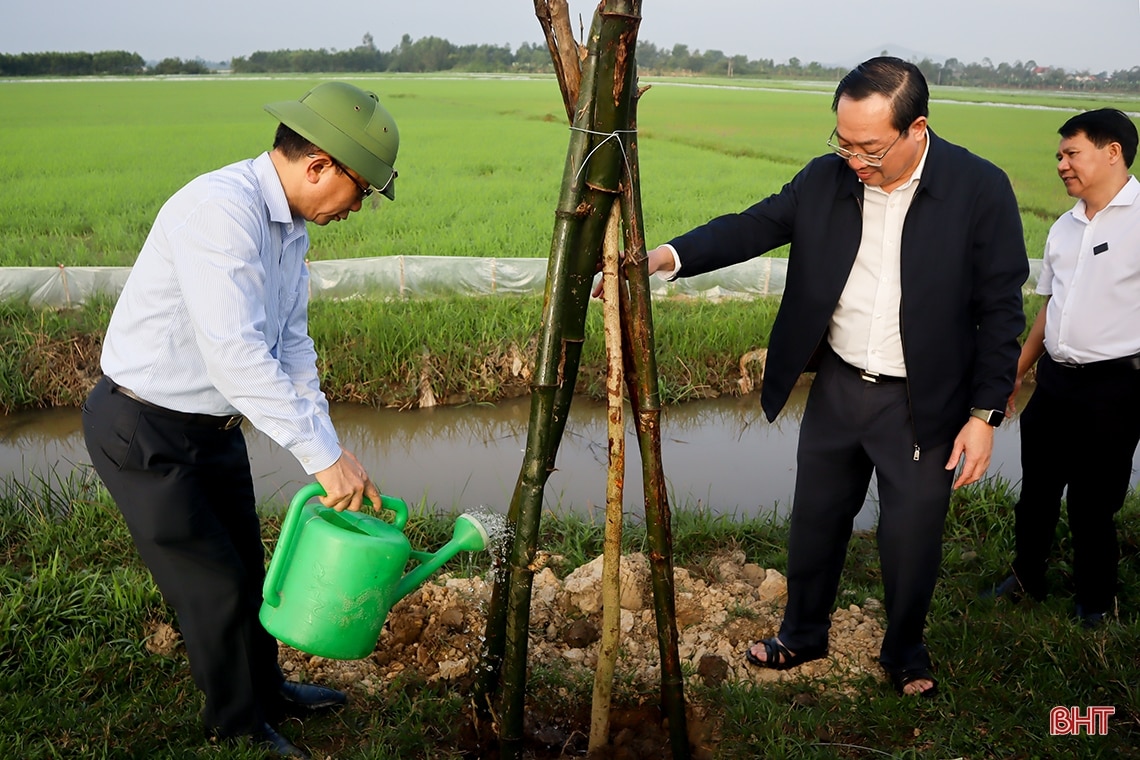 Lãnh đạo tỉnh Hà Tĩnh tham gia Tết trồng cây tại các địa phương