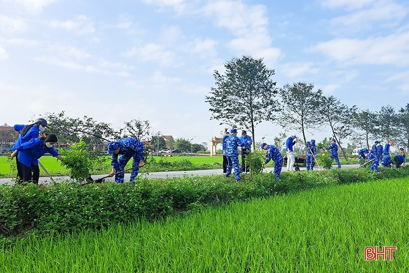 Nhiều đơn vị tiếp tục phát động trồng cây đầu năm mới