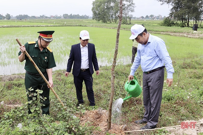 Nhiều đơn vị tiếp tục phát động trồng cây đầu năm mới