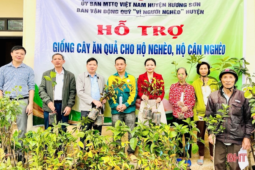 Hương Sơn hỗ trợ 2.747 giống cây ăn quả cho người dân