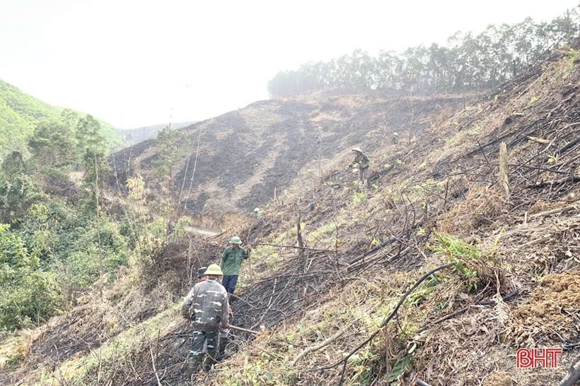 Hà Tĩnh “khởi động” mục tiêu trồng 8.600 ha rừng tập trung