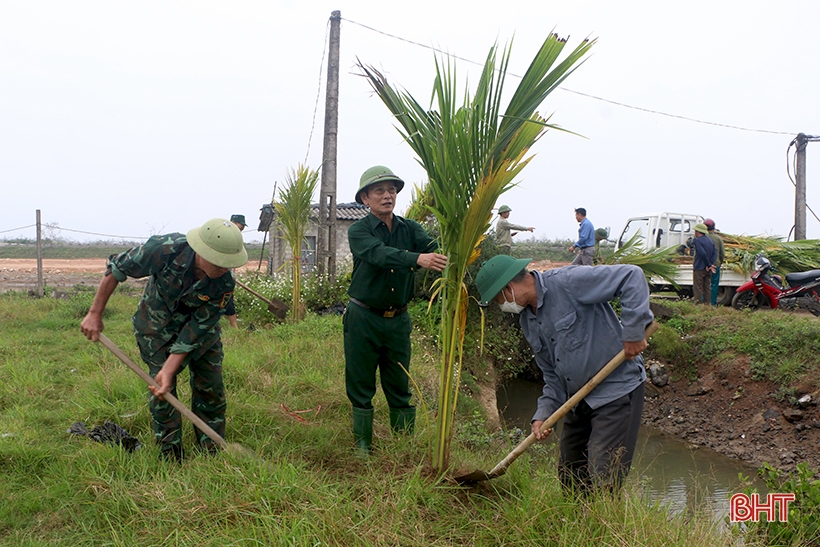 Trồng thêm gần 500 cây dừa xiêm tại khu sinh thái Đồng Ghè