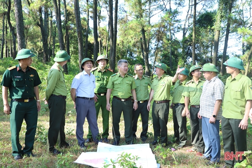 Cho những cánh rừng Hà Tĩnh thêm xanh