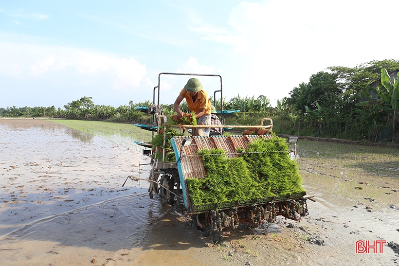 Doanh nghiệp Quế Lâm đồng hành cùng Hà Tĩnh phát triển sản xuất hữu cơ