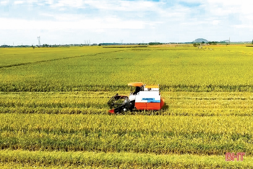 “Hạt giống” nông nghiệp sạch nảy mầm trên đồng đất Can Lộc