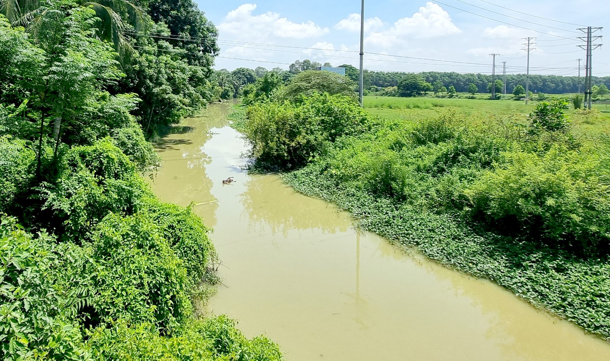 “Đường mòn Hồ Chí Minh” trên sông ở xứ Thanh- Ảnh 3.