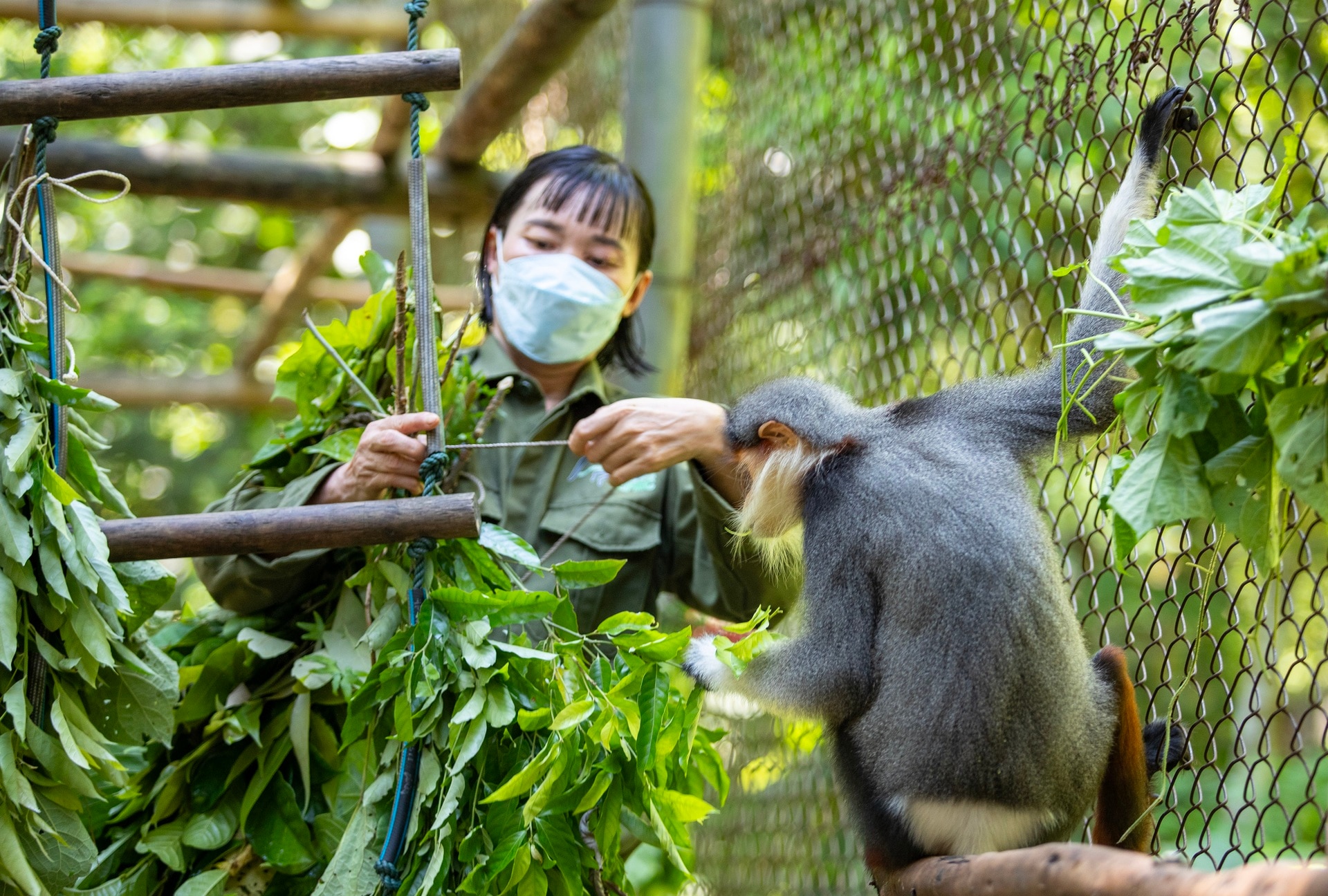 Nữ hoàng linh trưởng trong trung tâm cứu hộ lớn nhất Việt Nam - 7