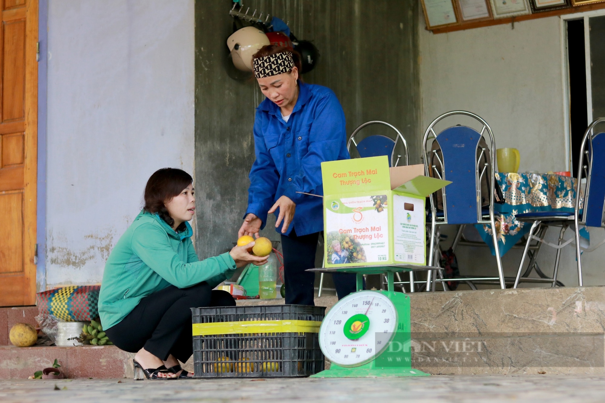 Hà Tĩnh: Cam Thượng Lộc được mùa lại giá cao chưa từng có, nông dân chạm đâu cũng thấy tiền - Ảnh 15.