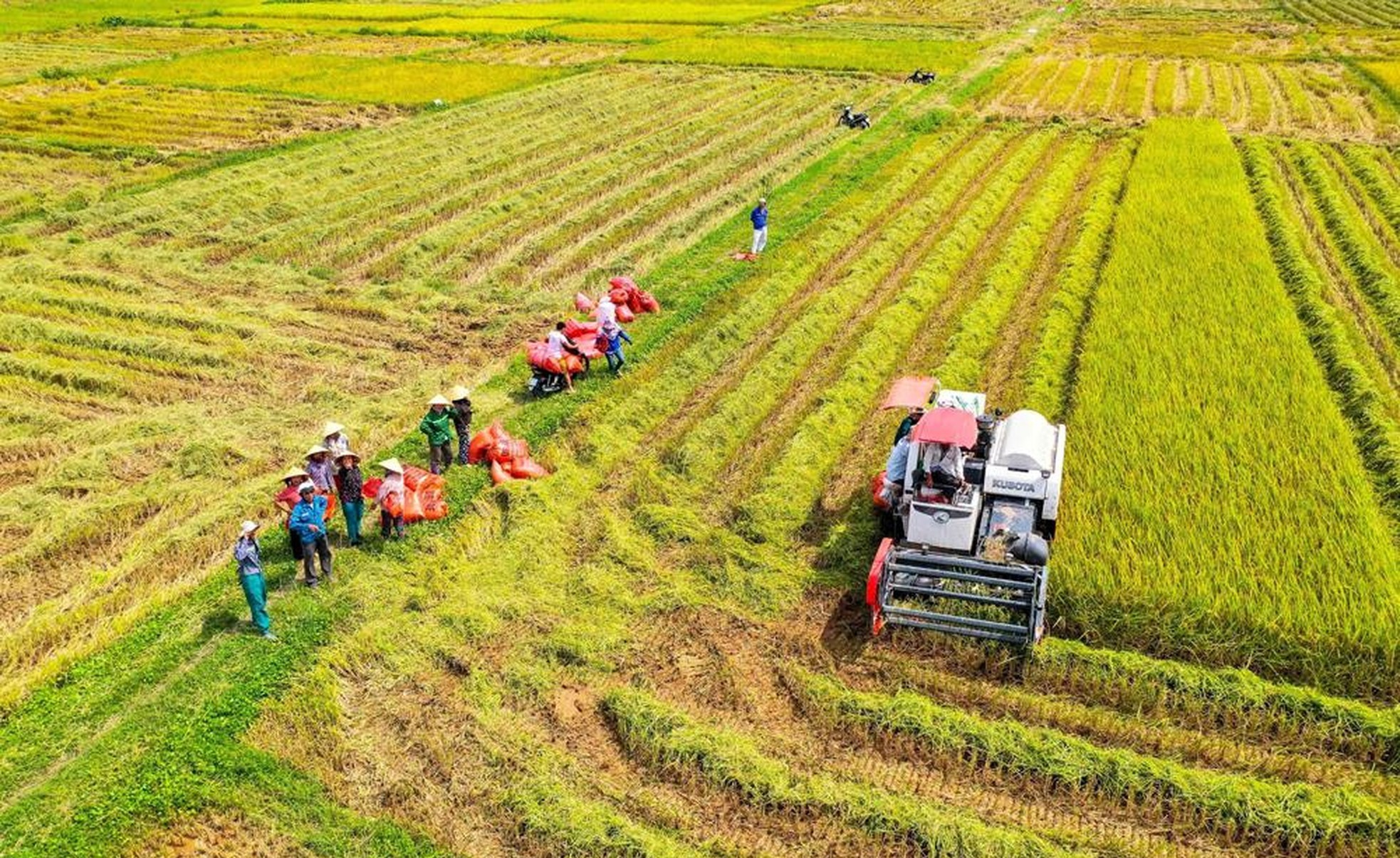 Khơi thông nguồn lực đất đai, nhìn từ những đại điền thế hệ mới - Ảnh 1.