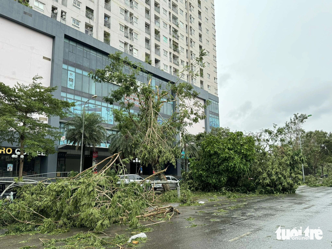 Sau ngày đêm bão số 3 càn quét khủng khiếp: Các tỉnh miền Bắc ngổn ngang chưa từng thấy - Ảnh 14.