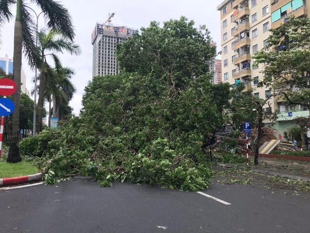 Thủ tướng: Kịp thời xử lý các vấn đề liên quan đời sống người dân sau bão- Ảnh 2.