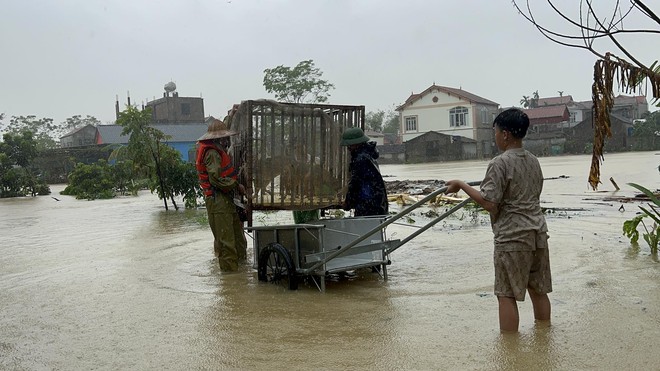 Mực nước thượng nguồn sông Hồng đã đạt đỉnh và đang xuống- Ảnh 4.