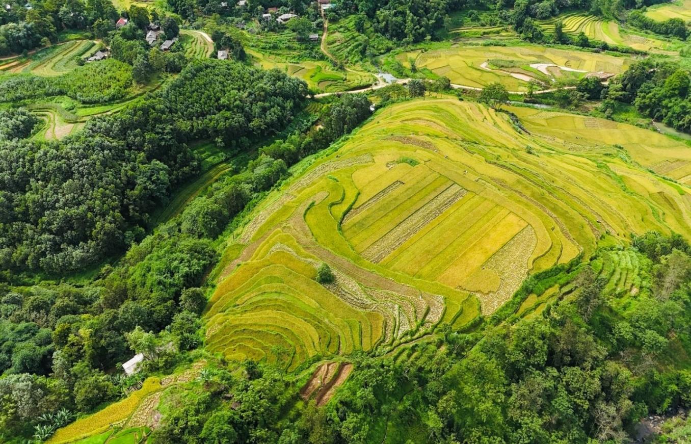 Lễ hội ruộng bậc thang Miền Đồi ở huyện Lạc Sơn (Hòa Bình) được tổ chức ngày nào?- Ảnh 2.