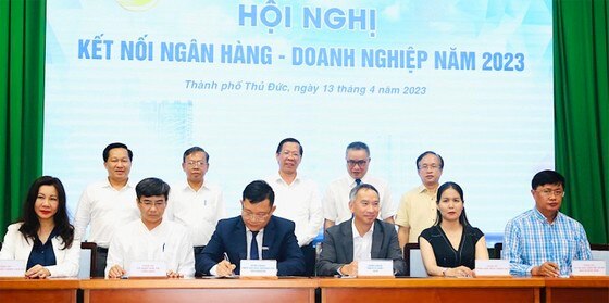 TPHCM cùng doanh nghiệp vượt khó ảnh 1