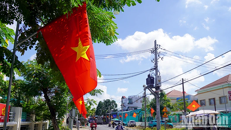 Thành phố Hồ Chí Minh: Đường phố rực rỡ cờ hoa chào mừng Quốc khánh 2/9 ảnh 8