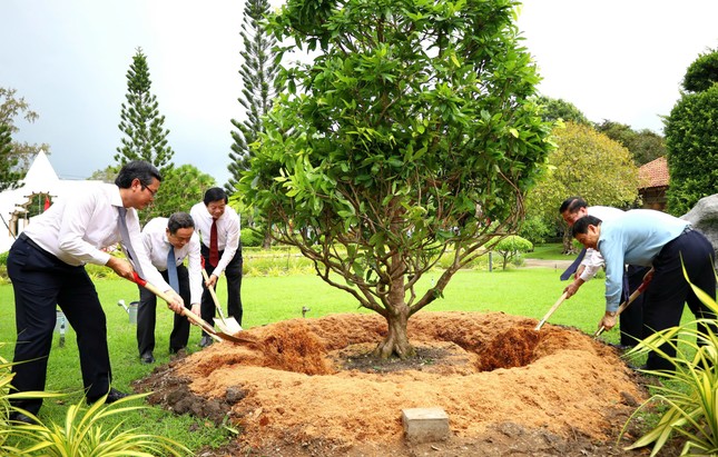 Chủ tịch Quốc hội Trần Thanh Mẫn dâng hương cố Thủ tướng Võ Văn Kiệt ảnh 3